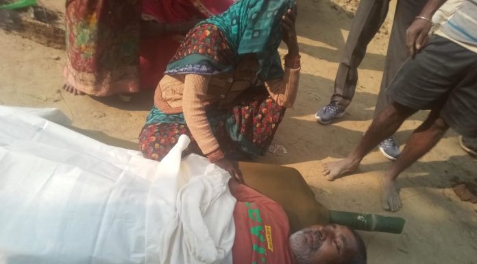 मधुमक्खियों के हमले से बुजुर्ग किसान की हुई मौत