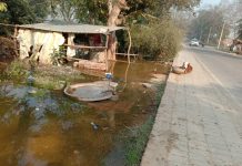 माइनर की पटरी कटने से कई बीघा फसल जलमग्न