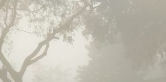 डीएम अंकल अब तो स्कूल का टाइम बदल दीजिये
