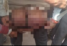 एटीएम गार्ड को दरोगा द्वारा बर्बरता से पीटना पड़ा भारी,पुलिस अधीक्षक ने किया निलंबित