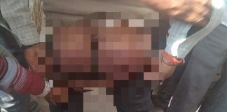 एटीएम गार्ड को दरोगा द्वारा बर्बरता से पीटना पड़ा भारी,पुलिस अधीक्षक ने किया निलंबित