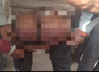 एटीएम गार्ड को दरोगा द्वारा बर्बरता से पीटना पड़ा भारी,पुलिस अधीक्षक ने किया निलंबित