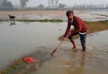 नहर कट जाने से किसानों की गेहूं की फसल हुई जलमग्न ,नाराज किसानों ने सड़क पर किया प्रदर्शन, नहीं पहुंचे जिम्मेदार