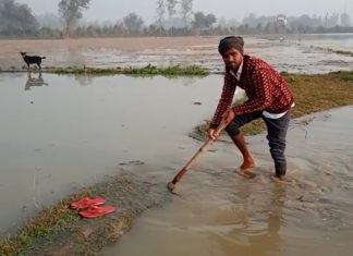 नहर कट जाने से किसानों की गेहूं की फसल हुई जलमग्न ,नाराज किसानों ने सड़क पर किया प्रदर्शन, नहीं पहुंचे जिम्मेदार