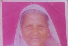 बुजुर्ग दंपति पर मधुमक्खियों ने किया हमला,इलाज के दौरान बुजुर्ग महिला की हुई मौत