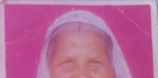 बुजुर्ग दंपति पर मधुमक्खियों ने किया हमला,इलाज के दौरान बुजुर्ग महिला की हुई मौत