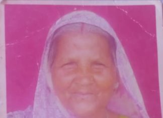 बुजुर्ग दंपति पर मधुमक्खियों ने किया हमला,इलाज के दौरान बुजुर्ग महिला की हुई मौत