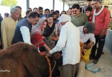 सदर विधायक अदिति सिंह ने सनही में नव निर्मित गौशाला का किया उद्घाटन