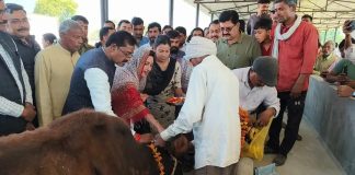 सदर विधायक अदिति सिंह ने सनही में नव निर्मित गौशाला का किया उद्घाटन