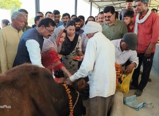सदर विधायक अदिति सिंह ने सनही में नव निर्मित गौशाला का किया उद्घाटन