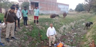 खाद्य विभाग ने पकड़ा ढाई कुंतल नकली खोया,कानपुर से रोडवेज बस में लाद कर लाया जा रहा था खोया