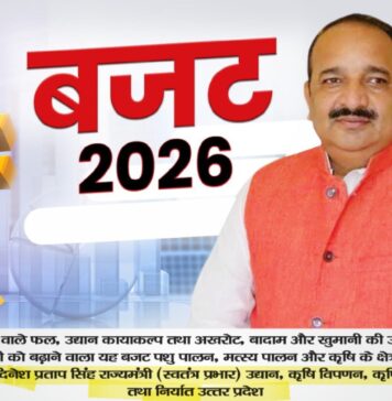 विकसित भारत के लक्ष्य को साकार करेगा आम बजट : दिनेश प्रताप सिंह