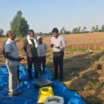 एडीएम ने क्रॉप कटिंग कराकर गेहूँ की उत्पादकता का किया आकलन