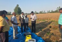 एडीएम ने क्रॉप कटिंग कराकर गेहूँ की उत्पादकता का किया आकलन